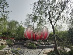 -东平国家森林公园