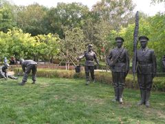 -武清南湖绿博园