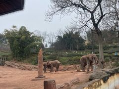 -乐和乐都动物主题乐园