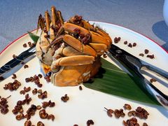 -南堂馆·新川菜(春熙路店)