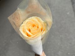 -FEI FEI FLOWER鲜花店·气球派对·宝宝宴布置(虹口德必运动Loft店)