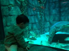 -沈阳海洋探索中心