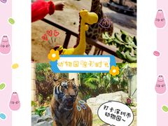 -深圳野生动物园