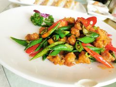 美极掌中宝-新恬乐大酒家(沧达大厦店)