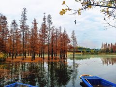 -白鹭湾湿地公园