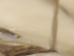 -湘轩·土菜研究院(光大店)