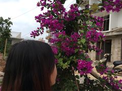 -上海鲜花港