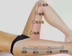-香薇妮丝女子减肥院