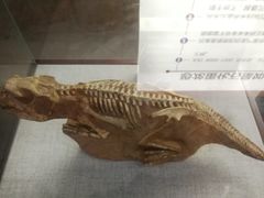 -中国西峡恐龙遗迹园