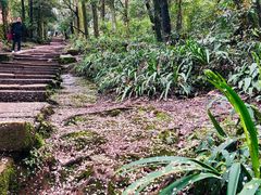 -青城山