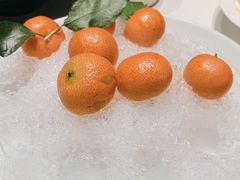 -四季民福烤鸭店(外滩外白渡桥店)