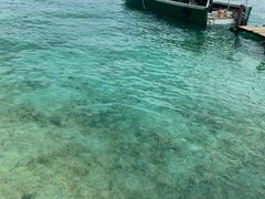 -东姑阿都拉曼海洋公园