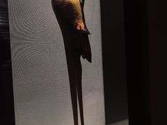 -成都龙之梦大酒店-龙悦中餐厅