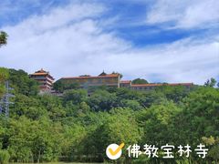 -顺峰山公园