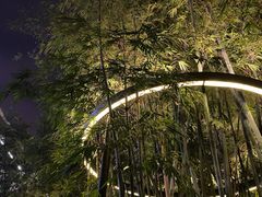 -扫雪煮茶(西村店)