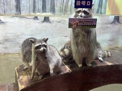 -大连圣亚海洋世界