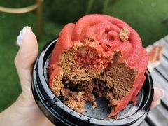 -Sirena海妖日咖夜酒