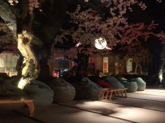 -蓝鲸湾汤泉(包河店)