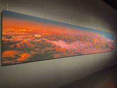 -罗红摄影艺术馆