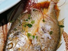 -三石铁板烧(紫竹桥店)