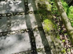 -牛背梁国家森林公园