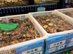 -东海怡品海鲜豆捞(舟宿夜江店)
