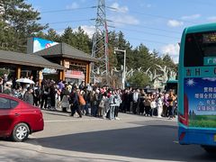 -帽儿山国家森林公园