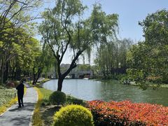 -新江湾城公园