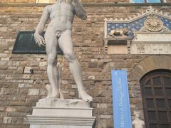 -圣母百花大教堂穹顶