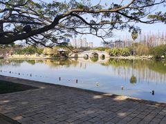 -江心屿景区