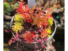 -炊烟餐厅
