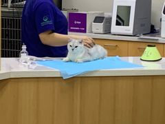 -联合动物医院(光谷诊疗中心)