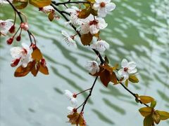 -时间仓(月湖公园店)