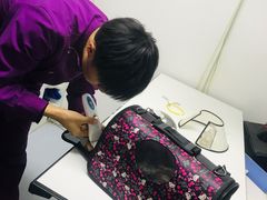 -达爱动物医院·犬猫分区·CT·复杂眼科(远洋山水分院)