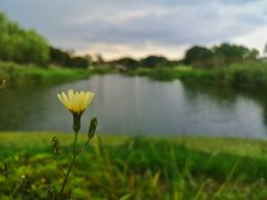 -尚贤河湿地