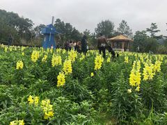 -广州市流溪河国家森林公园