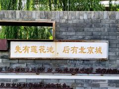 -莲花池公园