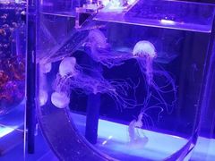 -海合安青岛极地海洋公园
