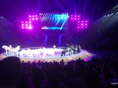 -珠海横琴长隆《卡卡虎奇遇记》