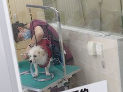 -美联众合爱康动物医院•复杂内科•肿瘤科•牙科•腔镜诊疗中心