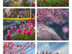 -泰合玺·精油疗愈SPA(南京光环花园城店)