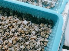 -霞涌市场海鲜摆卖区