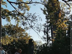 -上海佘山国家森林公园天马山园