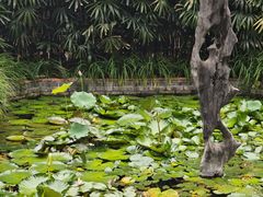 -东莞市可园博物馆