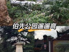 -伯先公园