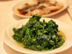 上汤豆苗-利苑酒家(宜安广场店)