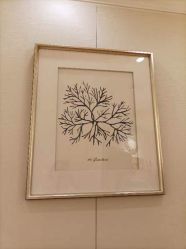 -茜尔维亚修身连锁(杨浦五角场店)