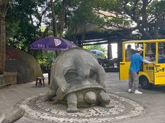 -海南分界洲岛旅游区