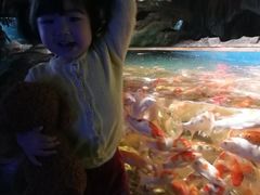 -石家庄海洋公园