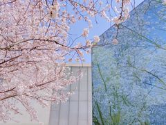 -龙美术馆(西岸馆)